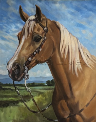 16 x 20 Oil on Canvas